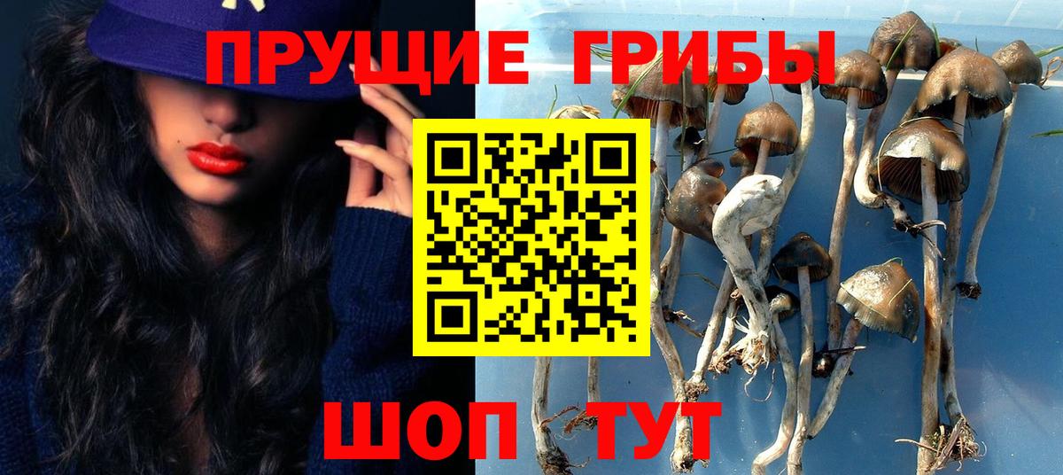 Кодеин Янаул
